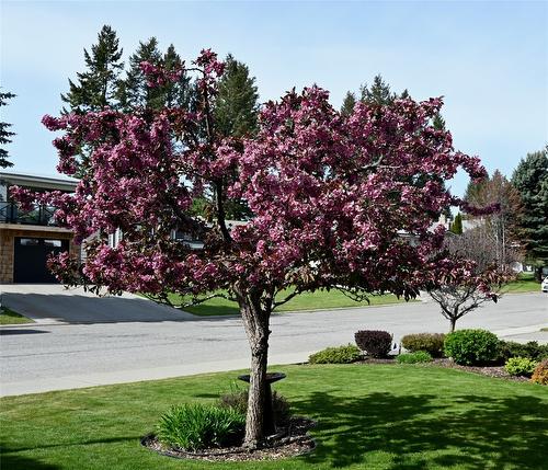 1320 15Th Street, Cranbrook, BC - Outdoor