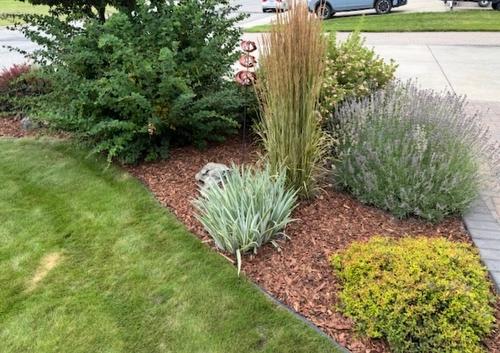 1320 15Th Street, Cranbrook, BC - Outdoor