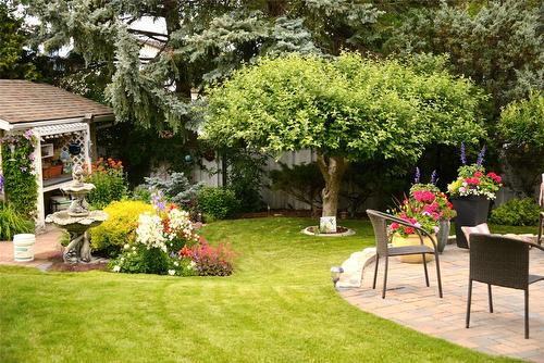 1320 15Th Street, Cranbrook, BC - Outdoor With Backyard