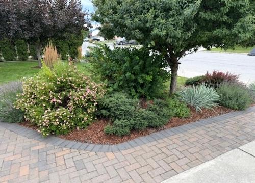 1320 15Th Street, Cranbrook, BC - Outdoor