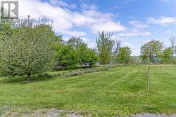 Many fruit trees & other flowering shrubs & bushes - 