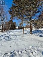 51 Queen Avenue  Blind River, ON P0R 1B0