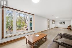 Picture Window in basement - 