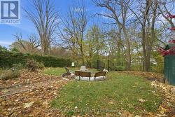 fire pit back yard - 