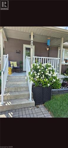91 Elgin Street, London, ON - Outdoor With Deck Patio Veranda With Exterior