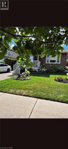 91 Elgin Street, London, ON - Outdoor