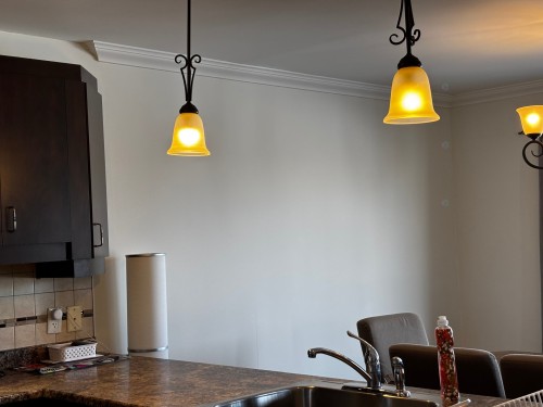 Autre - 202-320 Rue Jean-Claude-Tremblay, Vaudreuil-Dorion, QC - Indoor