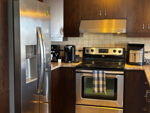 Cuisine - 202-320 Rue Jean-Claude-Tremblay, Vaudreuil-Dorion, QC - Indoor Photo Showing Kitchen