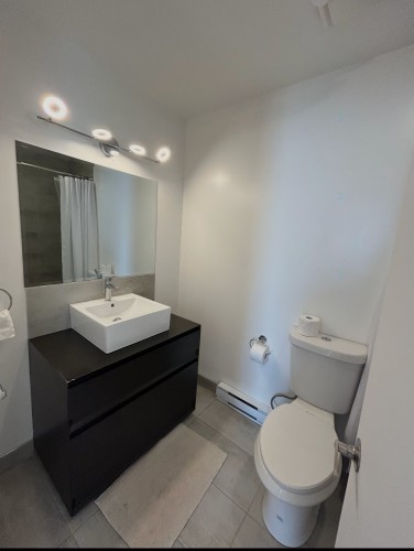 Salle de bains - 14714 Rue Aumais, Montréal (L'Île-Bizard/Sainte-Geneviève), QC - Indoor Photo Showing Bathroom