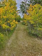 9.85 Acre Lot  Vanscoy Rm No. 345, SK S0L 3J0
