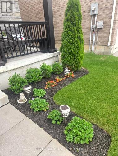 8 Elderberry Road, Thorold (Confederation Heights), ON - Outdoor