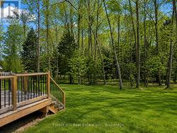 Wooded and private lot - 