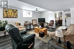 Fully finished lower level - 