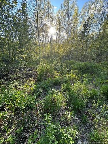 - Highfield Rd, Pearsonville, NB 