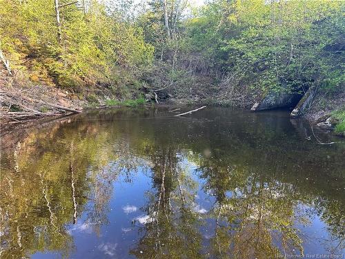 - Highfield Rd, Pearsonville, NB 