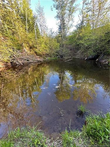 - Highfield Rd, Pearsonville, NB 