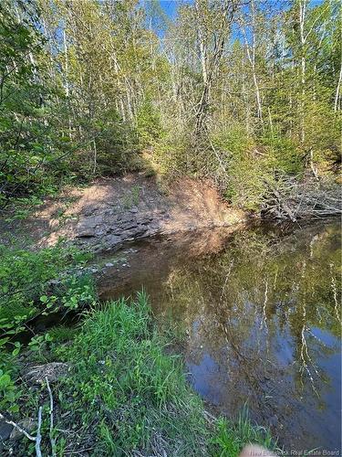 - Highfield Rd, Pearsonville, NB 