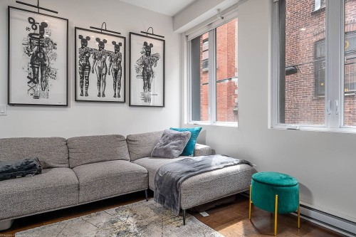 Salon - 102-7170 Rue Clark, Montréal (Rosemont/La Petite-Patrie), QC - Indoor Photo Showing Living Room