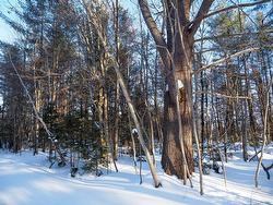 Rue de la Sapinière  Saint-Lambert-De-Lauzon, QC G0S 2W0