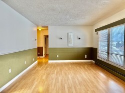 Salon - 