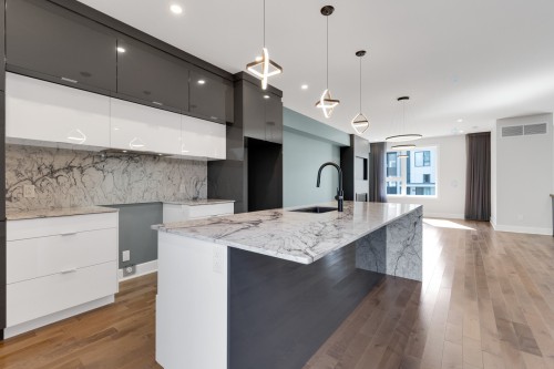 Cuisine - 366 Rue De Belledonne, Blainville, QC - Indoor Photo Showing Kitchen With Upgraded Kitchen