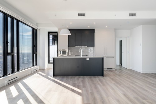 4502-1001 Rue Lucien-L'Allier , Montréal (Ville-Marie), QC H3G 0G7 3