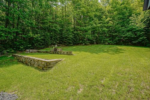 Cour - 48 Ch. Coutu, Saint-Donat, QC - Outdoor