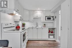 BASEMENT - 771 EVERSLEY DRIVE  Mississauga, ON L5A 2E2