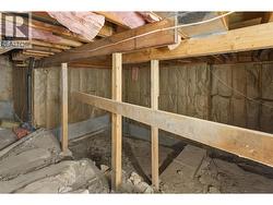 Unfinished crawl space - 