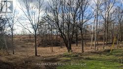 237 FREDERICK STREET W  Southwest Middlesex, ON N0L 1Z0