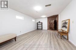 basement living room - 