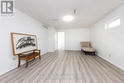 basement living room - 