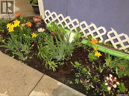 916 4Th Avenue N, Saskatoon, SK - Outdoor