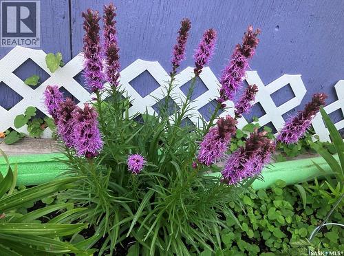 916 4Th Avenue N, Saskatoon, SK - Outdoor