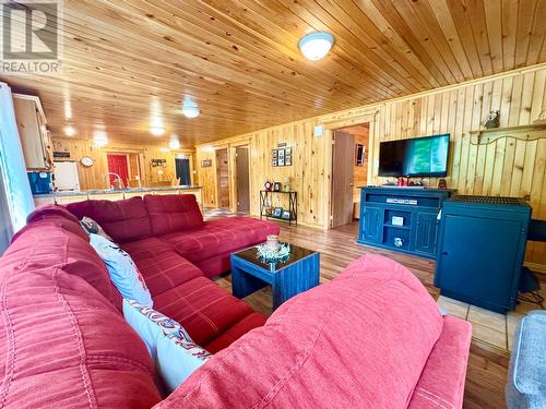 0 Birchy Bay Pond, Birchy Bay, NL - Indoor Photo Showing Living Room