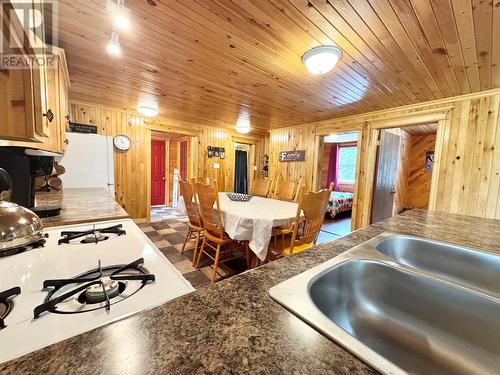 0 Birchy Bay Pond, Birchy Bay, NL - Indoor Photo Showing Kitchen With Double Sink