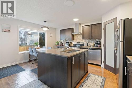 328 Douglas Glen Heath Se, Calgary, AB - Indoor Photo Showing Kitchen With Stainless Steel Kitchen With Double Sink With Upgraded Kitchen