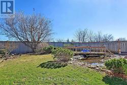 Back Yard (Summer) - 