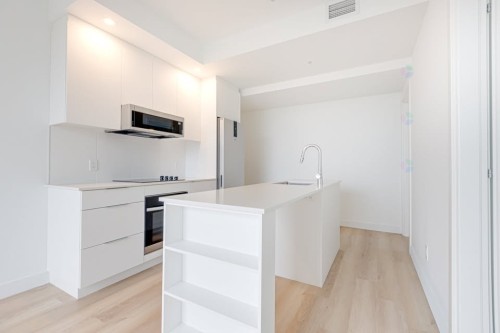 616-1001 Rue Lucien-L'Allier , Montréal (Ville-Marie), QC H3G 0G7 5