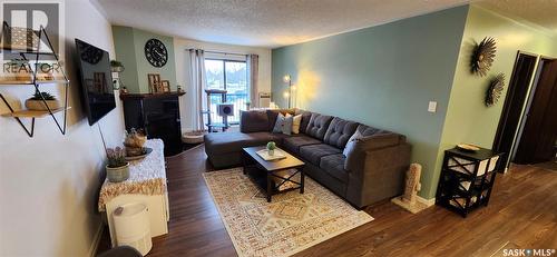 206 802A Kingsmere Boulevard, Saskatoon, SK - Indoor Photo Showing Living Room