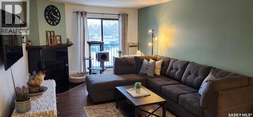 206 802A Kingsmere Boulevard, Saskatoon, SK - Indoor Photo Showing Living Room