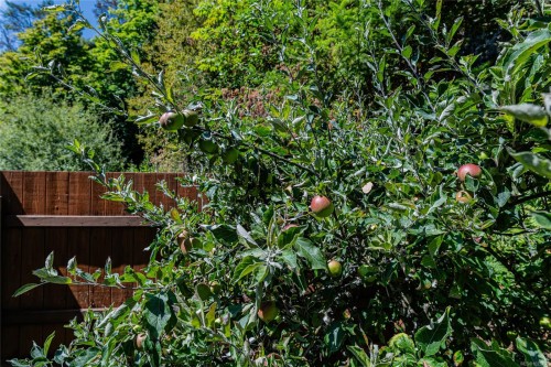 1252 Isabella Point Rd, Salt Spring, BC 