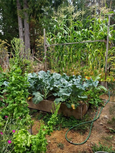 1252 Isabella Point Rd, Salt Spring, BC 