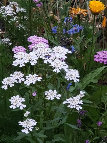 1252 Isabella Point Rd, Salt Spring, BC 