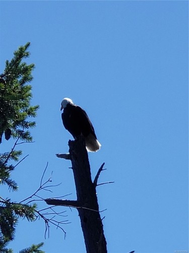 1252 Isabella Point Rd, Salt Spring, BC 