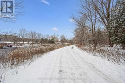 Wonderful walking trails just steps from your back - 