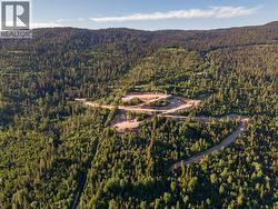 9190 Silver Star Road  Silver Star, BC V1B 3M1