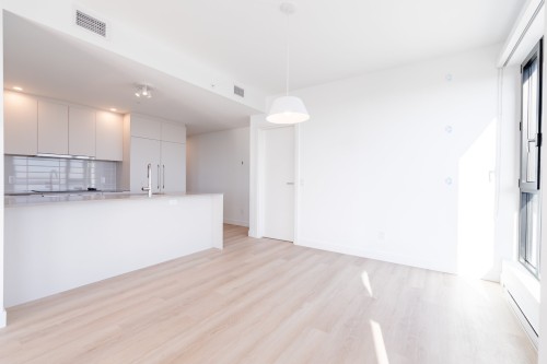 3507-1001 Rue Lucien-L'Allier , Montréal (Ville-Marie), QC H3G 0G7 4