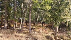 938 23 Highway  Nakusp, BC V0G 1R0