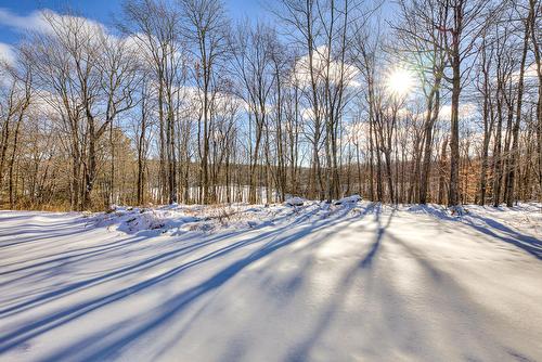 Extérieur - 10 Ch. Cascade, Gore, QC - Outdoor With View